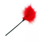 Pluma-Nican