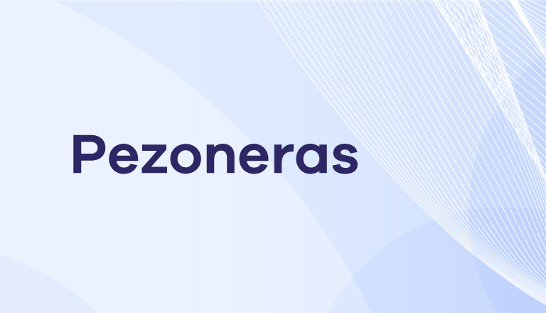 Banner Pezoneras
